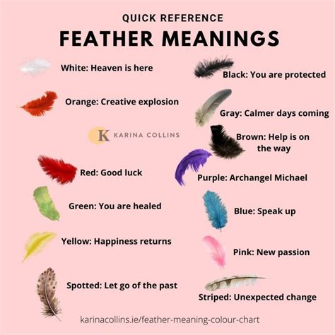 Magic feathers rochester ny